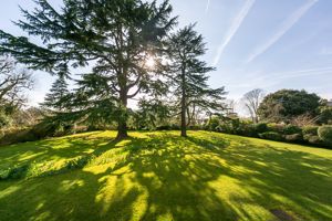 Communal Garden- click for photo gallery